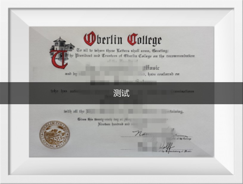 柏林工程与经济应用技术大学毕业证书模板(柏林工程与经济应用技术大学毕业证书模板图)