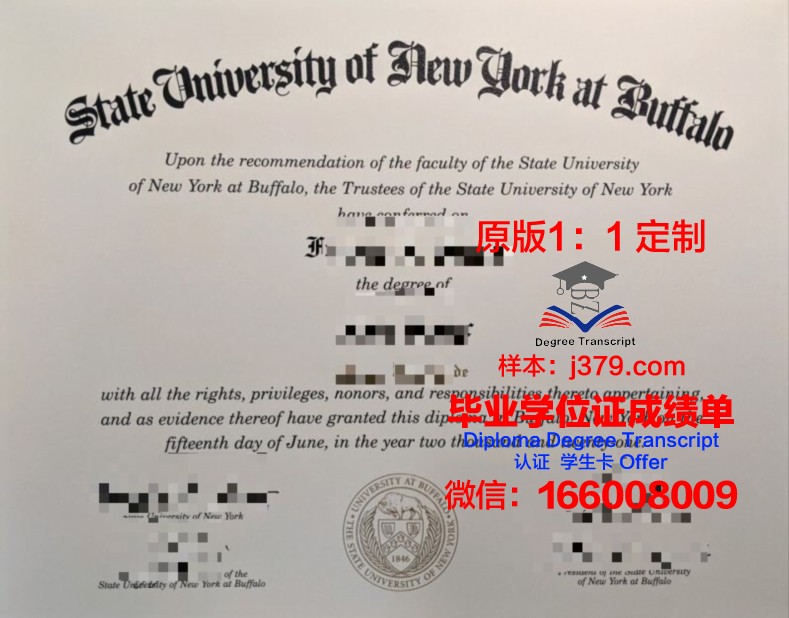 纽约州立大学帕切斯分校diploma证书(纽约州立大学purchase分校)
